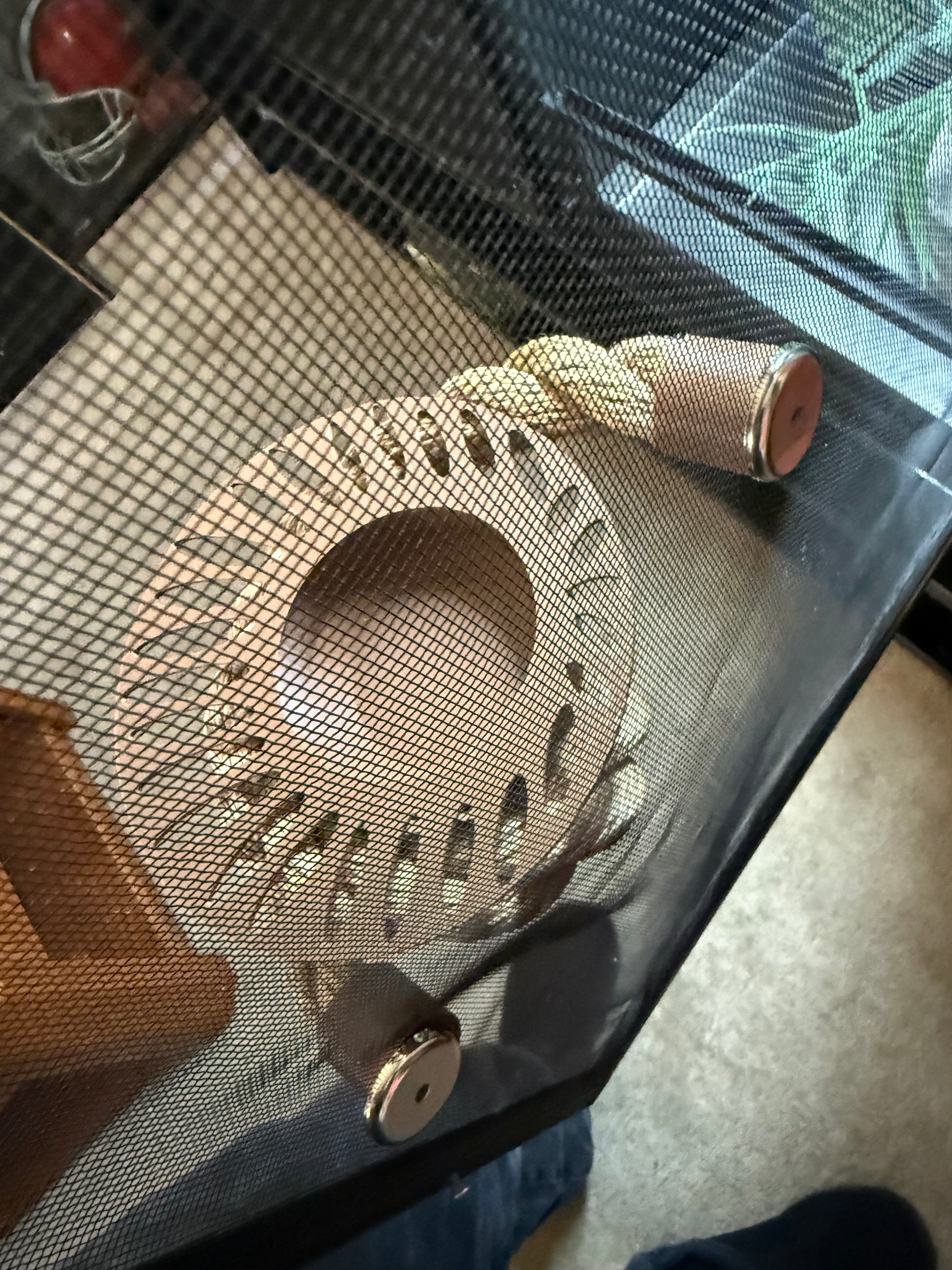 Magnetic Jungle Rope with Feeding dish and deck