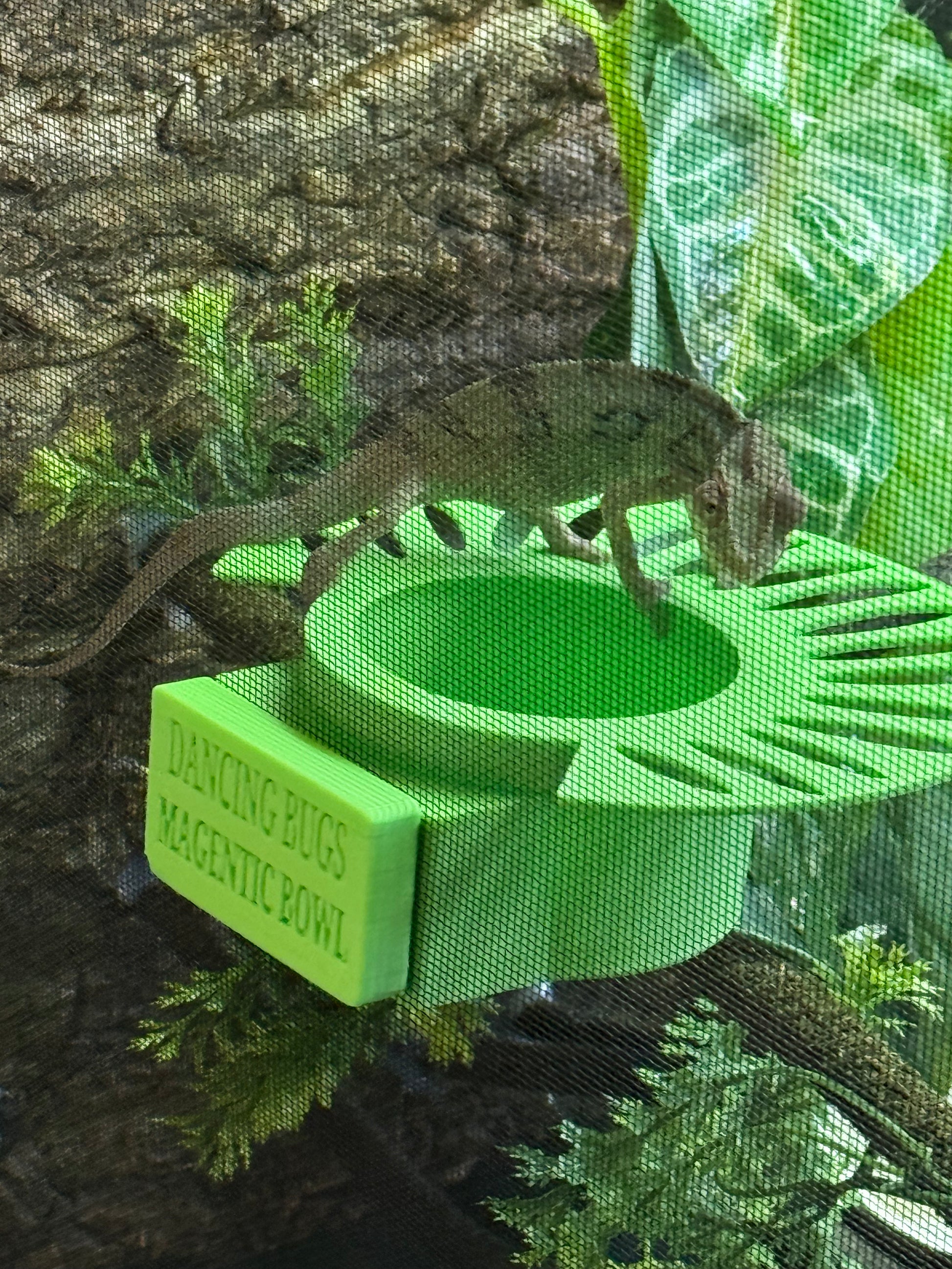 Magnetic Bowl with Feeding Deck