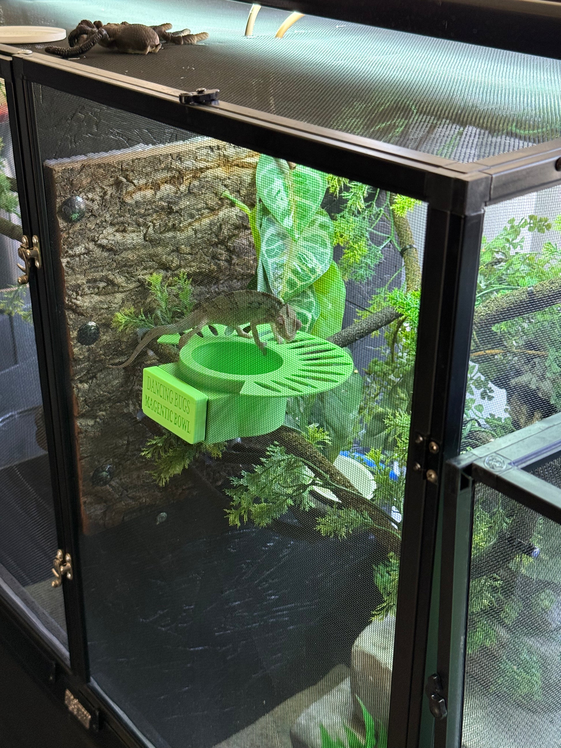 Magnetic Bowl with Feeding Deck