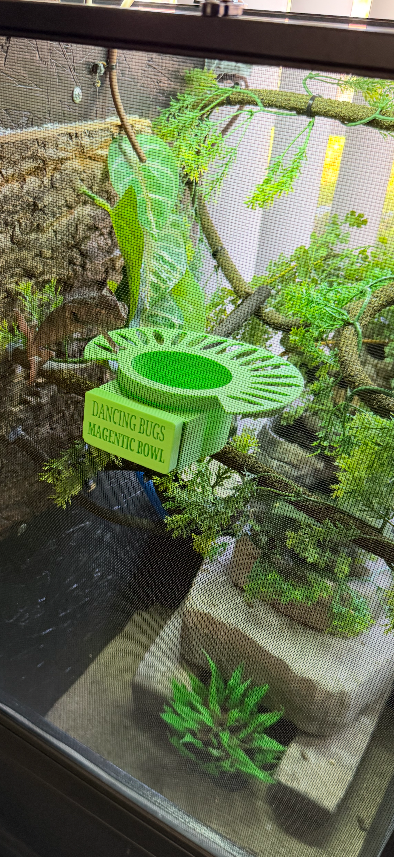 Magnetic Bowl with Feeding Deck