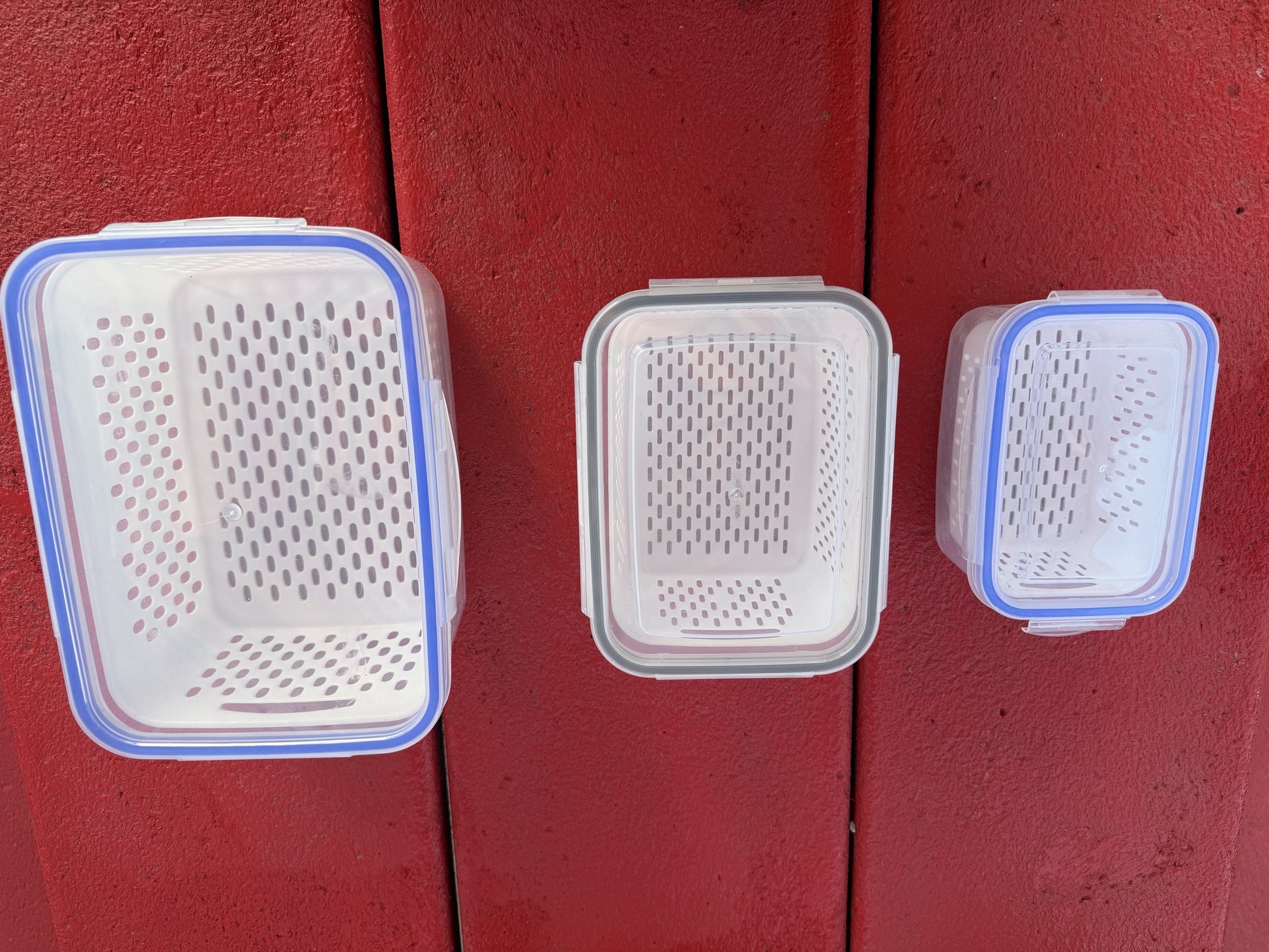 Bugs storage container with strainer